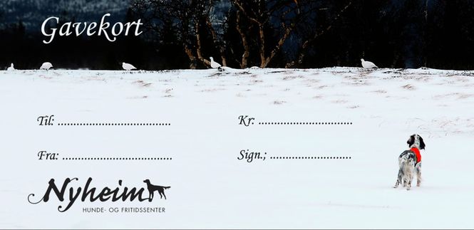 Hovedbilde Gavekort